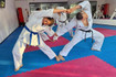 Imagen 3 de la galería del partner Hombu Dojo Shito Kai Murayama