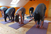 Image 4 from soma yoga scotland partner gallery