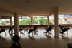 Imagen 1 de la galería del partner Academia de Baile Danzand Cuba