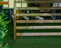 Imagen 4 de la galería del partner Paleo Teguise
