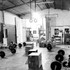 Imagen 5 de la galería del partner Alpha crossfitness