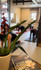 Image 2 from Seraphim Studios partner gallery