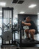 Image 5 from Iron Muscle and Fitness Conway partner gallery