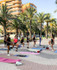 Imagen 3 de la galería del partner Fit Camp Alicante