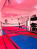 Imagem 4 da galeria do parceiro Centro de Artes Marciais Wolf Team