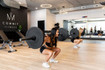 Image 4 from Commit Fitness partner gallery