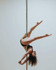 Image 3 from Bliss Pole partner gallery