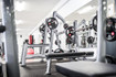 Bild 5 von Exklusiv Fit Partnergalerie