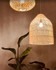 Bild 5 von Yoga Homebase Joachim-Erwin-Platz Partnergalerie