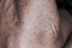 Bild 1 von Trainingsraum Finkenwerder Partnergalerie