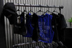 Imagen 3 de la galería del partner Thunder Studio