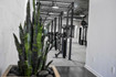 Image 3 from ARMOURBODY partner gallery