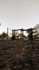 Imagen 4 de la galería del partner Pef.calistenia