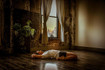 Image 3 from Gabrielle Sigal Iyengar Yoga partner gallery