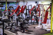 Image 4 from Elite Health & Fitness Lisburn partner gallery