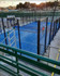 Immagine 1 dalla galleria del partner Omega Padel Club