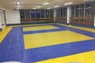 Imagen 2 de la galería del partner Tecno Judo & Jiu Jitsu Fernández, A. C.