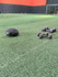 Imagem 3 da galeria do parceiro CT da Bola