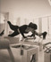 Imagen 1 de la galería del partner Fioore Pilates