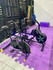 Imagem 4 da galeria do parceiro Studio Pilates K2.