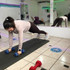 Imagen 1 de la galería del partner Fit Body Ensenada