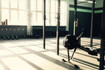Bild 1 von CrossFit Esslingen Partnergalerie