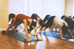 Image 6 from Jiaren Yoga Studio partner gallery