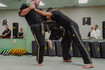 Image 4 from Premier Martial Arts Park Ridge partner gallery