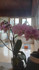 Immagine 3 dalla galleria del partner Yoga Suite Centro
