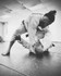 Image 5 from Quintana Combat & Fitness partner gallery