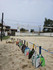 Imagem 5 da galeria do parceiro Huron Esportes de Areia