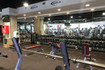 Imagen 5 de la galería del partner Sportlife Chamisero