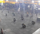 Imagem 2 da galeria do parceiro Dorilcrossteam