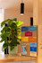 Bild 4 von GriffKiste Partnergalerie