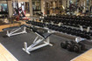 Bild 2 von GYM52 Bodybuilding, Fitness, Powerlifting Partnergalerie