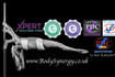 Image 1 from Body Synergy Pole partner gallery