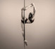 Image 5 from Body Synergy Pole partner gallery