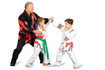 Image 2 from Hiro Martial Arts partner gallery