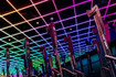 Imagen 4 de la galería del partner Up Studio MX