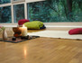 Bild 1 von YOGA! einfach besser leben / Hals Partnergalerie