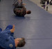 Image 2 from GrappleBox partner gallery