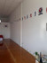 Imagen 2 de la galería del partner ACADEMIA MARCIAL KARATE COREANO