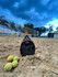 Imagem 5 da galeria do parceiro Calango Beach Tennis Unidade I