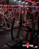 Imagen 1 de la galería del partner Elite Team Pro Gym Tepepan