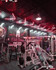 Imagen 2 de la galería del partner Elite Team Pro Gym Tepepan