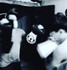 Imagen 5 de la galería del partner kapap- krav maga - wild beast