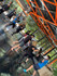 Imagen 5 de la galería del partner Blackbird Mixed Martial Arts