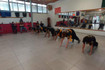 Imagen 4 de la galería del partner Jīn lóng Shī
