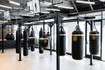 Image 5 from Fitsi Mayweather Boxing partner gallery