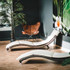 Bild 1 von High Class Fitness Dormagen Partnergalerie